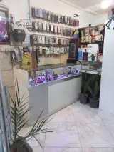 موبایل نویان