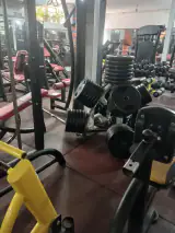 باشگاه ورزشی جاوید