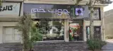 گالری چوب خم