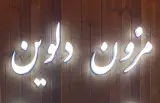 مزون دلوین