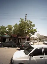 ایزوگام نقره ای شرق