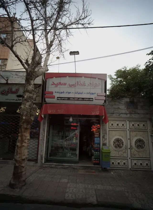 مواد غذایی سعید