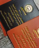 آرین جلد