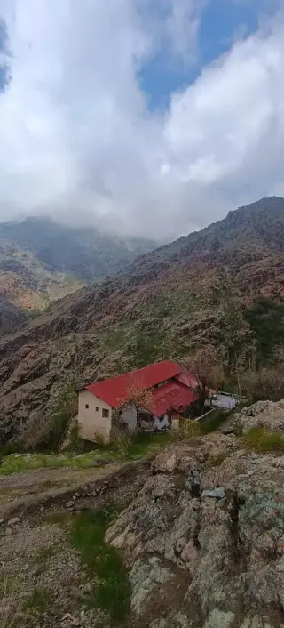 هتل اوسون