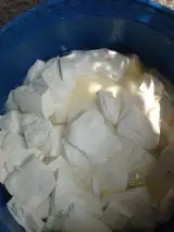 کارگاه تولید پنیرعبادی