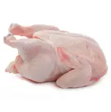 فروشگاه مرغ و تخم مرغ کنعان