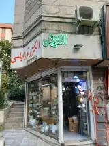 الکترونور مجلسی