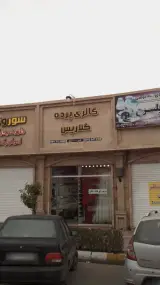 گالری پرده گلاریس