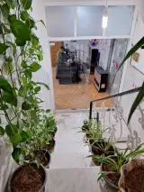 آموزشگاه زبان صابر