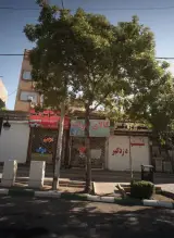 سیستم دزدگیر