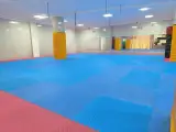 باشگاه ورزشی آترا