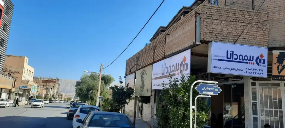 بیمه دانا