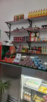 پروتئین سینا