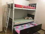 کالای خواب شاهین