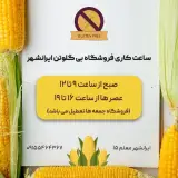 فروشگاه محصولات بدون گلوتن