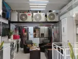 شیران کالا