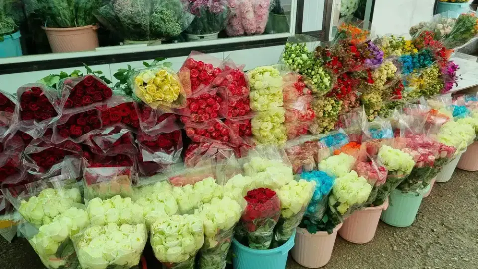بازار گل و گیاه پردیس فارس