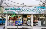 هایپر لبنیات همیشه سبز