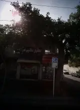عطاری حکیم سید