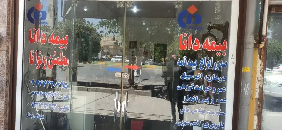 بیمه دانا