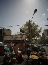 فرآورده های پروتئینی