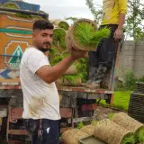 بانک نشا وبرنج فروشی بهمبر