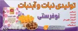 تولیدی نبات و آبنبات نوفرستی