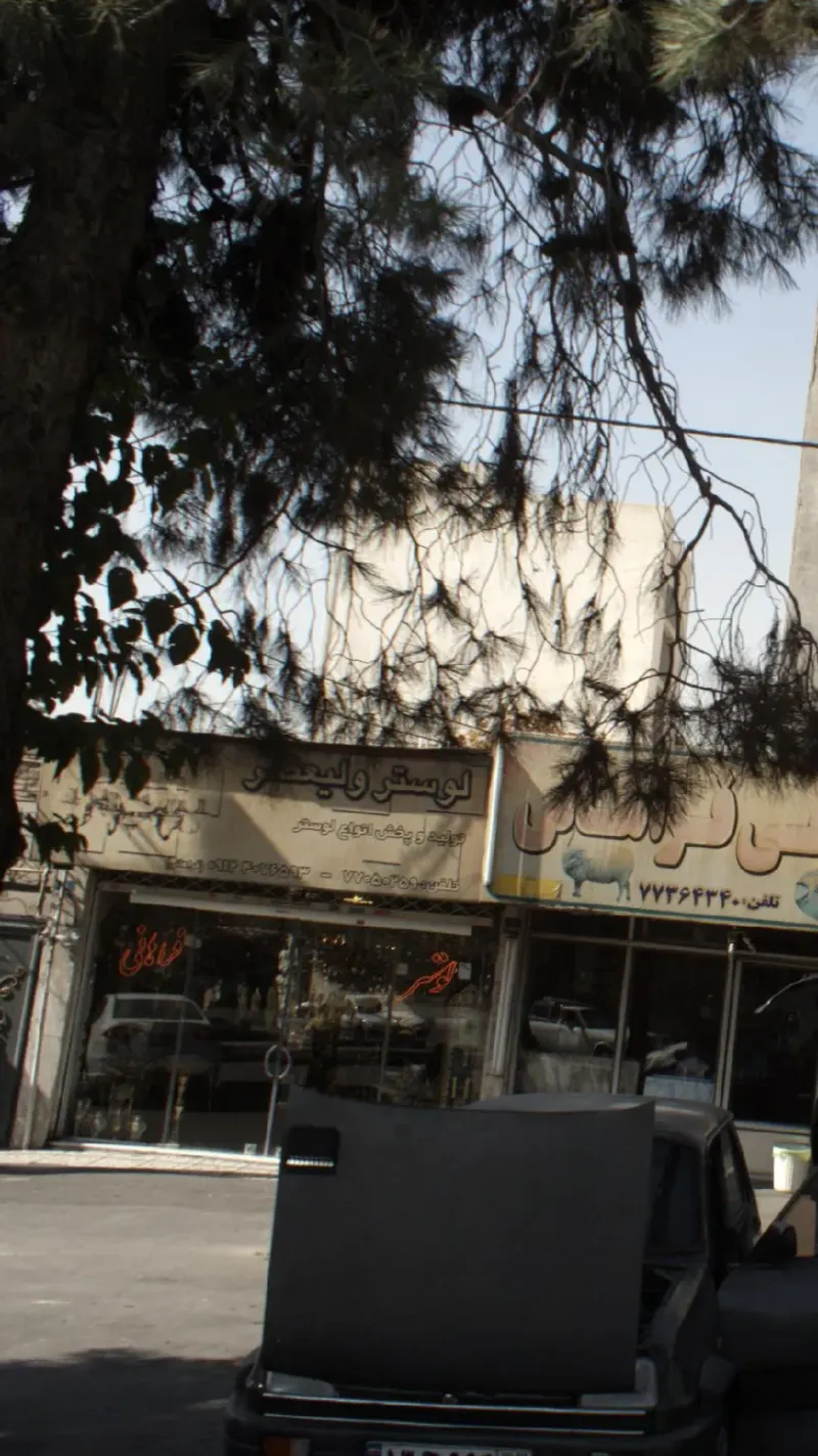 لوستر ولیعصر