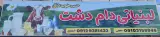 لبنیاتی دام دشت