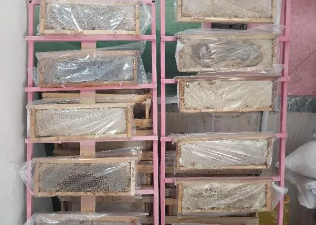 عسل و لبنیاتی زارع