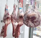 قصابی سجاد چگینی