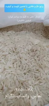 یاس مارکت