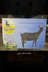 فروشگاه لبنیات دامپروری دشت پازن
