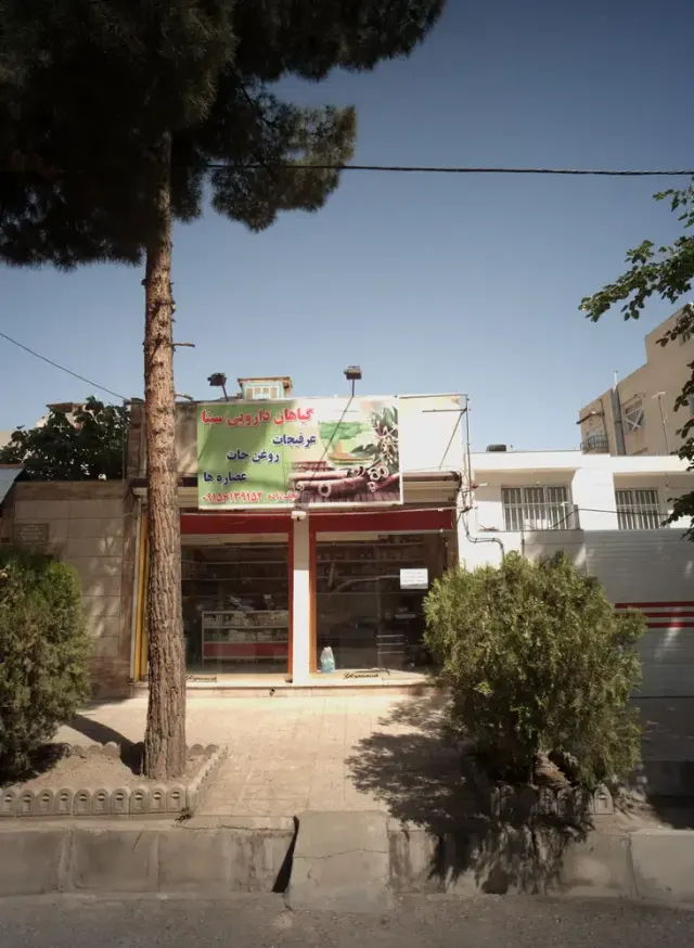 گیاهان دارویی سینا