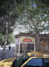ایزوگام شرق