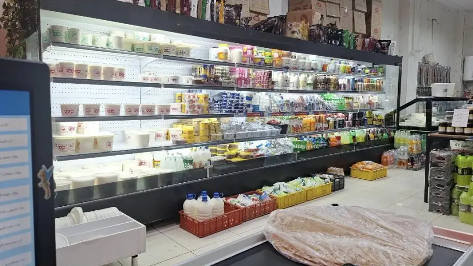 لبنیات فروردین