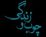 هایپر چوب و زندگی