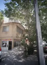 تایپ و تکثیر پدر