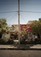 لبنیات علیزاده عنصری