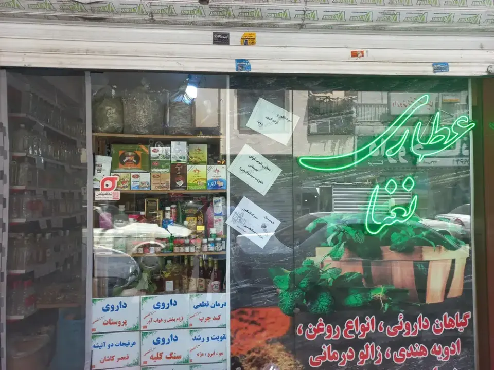 گیاهان دارویی نعنا