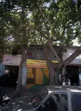لوازم یدکی عدالت