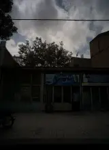 اتولاستیک علی