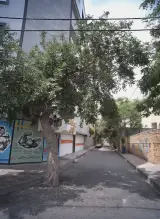 پرورش اندام تک اندام