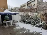 دپارتمان کنکور خانه سبز