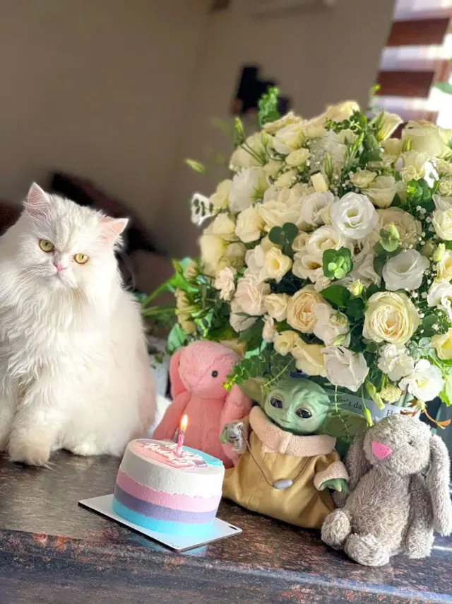گل فروشی شهرگل شعبه جردن