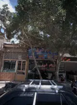 ایزوگام شرق