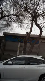 کالای خواب رویال