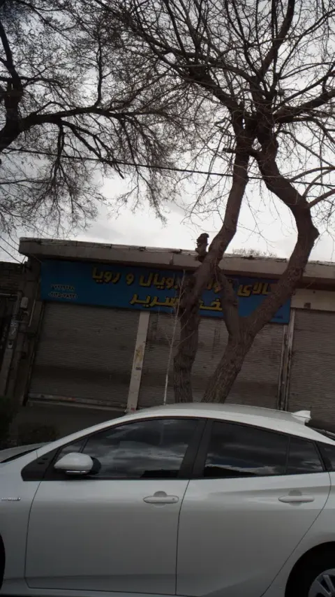 کالای خواب رویال