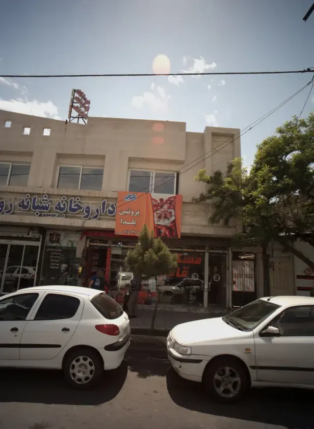 پروتئین یلدا