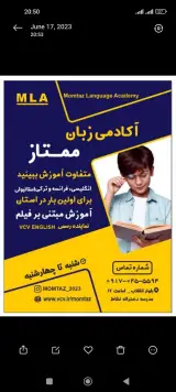 آکادمی زبان های خارجی ممتاز
